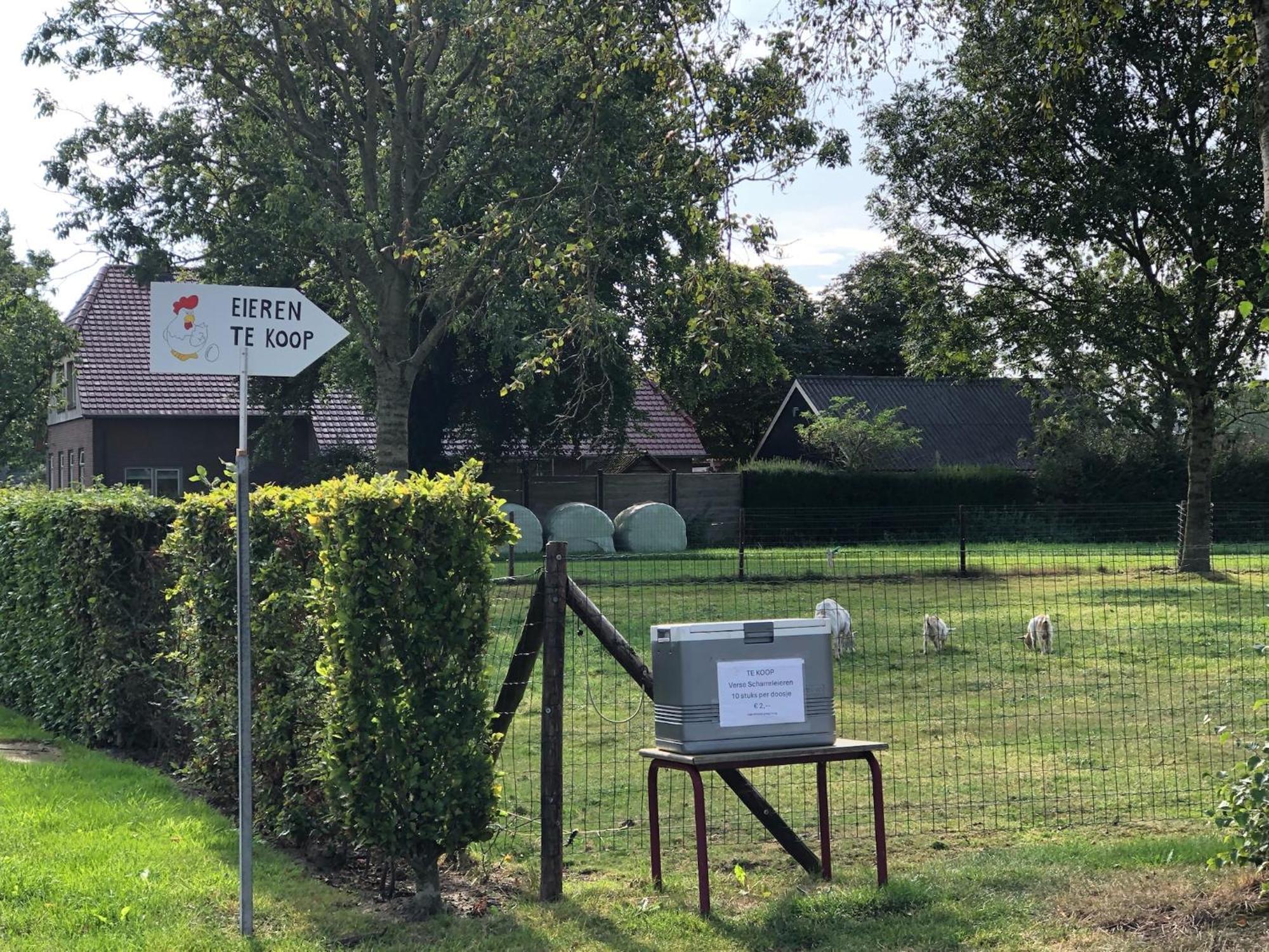 Sayang26 Gezellige Gezinsvriendelijke Stacaravan Op Familiecamping De Vossenburcht In Natuurgebied Reestdal - No Workers Allowed Villa IJhorst Exterior photo