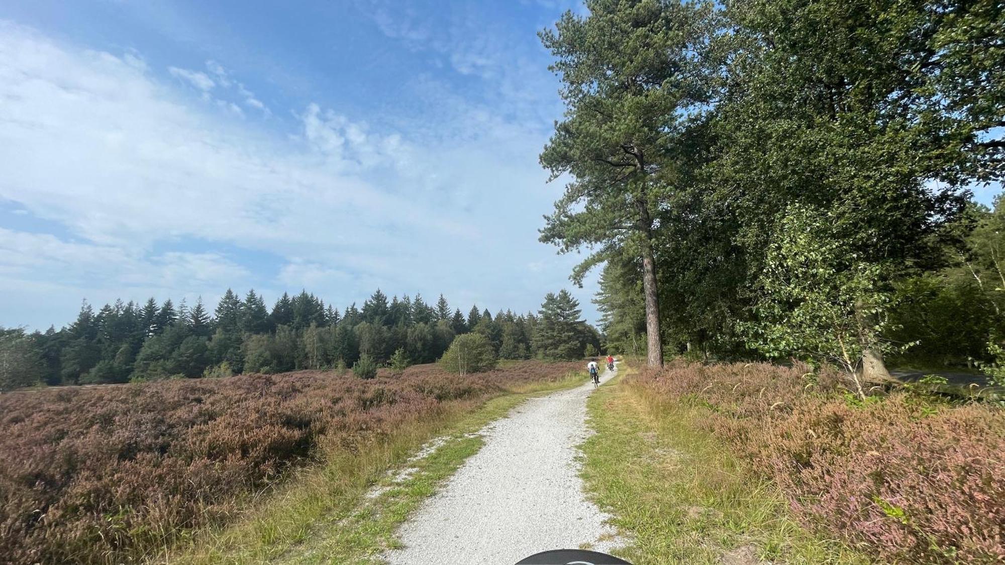 Sayang26 Gezellige Gezinsvriendelijke Stacaravan Op Familiecamping De Vossenburcht In Natuurgebied Reestdal - No Workers Allowed Villa IJhorst Exterior photo